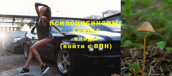 прущие грибы Бугульма