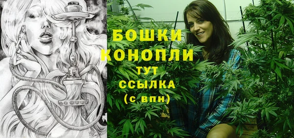 дживик Снежинск