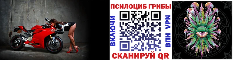 Купить закладки  Апатиты  Галлюциногенные грибы Cubensis 